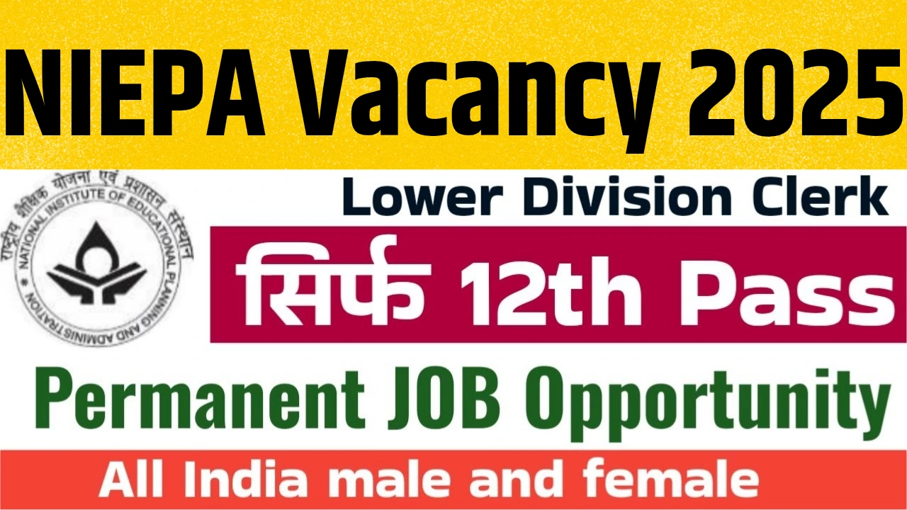 Niepa vacancy